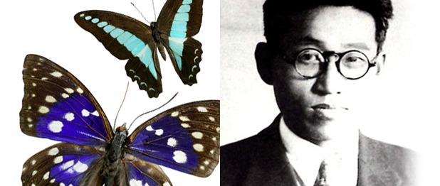 나비박사 ‘석주명’, 생물학에 민족성을 심다