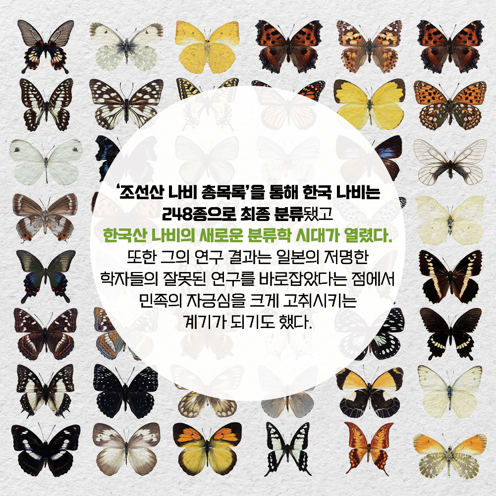 조선산 나비 총목록을 통해 한국 나비는 248종으로 최종 분류됐고 한국산 나비의 새로운 분류학 시대가 열렸다. 또한 그의 연구 결과는 일본의 저명한 학자들의 잘못된 연구를 바로잡았다는 점에서 민족의 자긍심을 크게 고취시키는 계기가 되기도 했다.