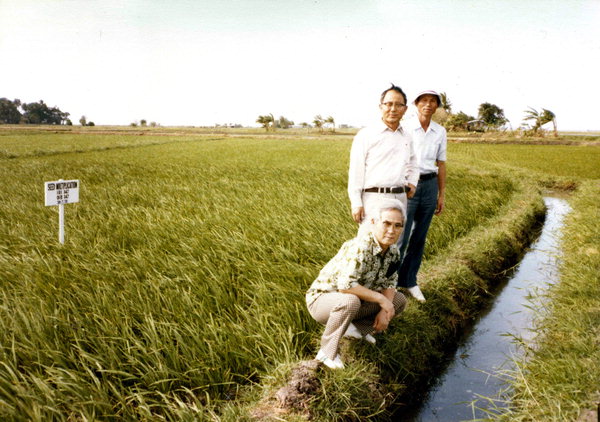 통일벼가 자란 들판에서. 가운데가 허문회 박사1.jpg 이미지입니다.